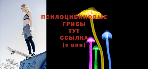 стаф Баксан