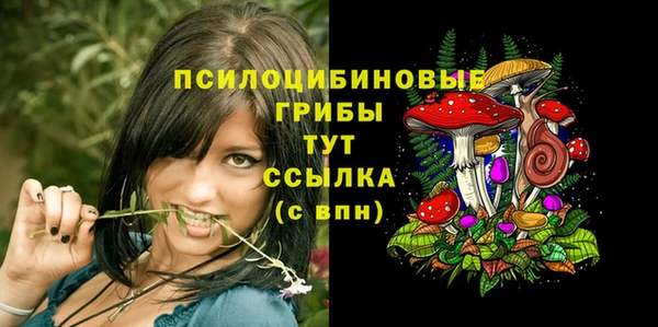 твердый Белокуриха