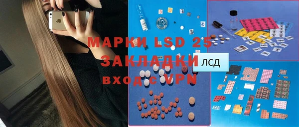 стаф Баксан